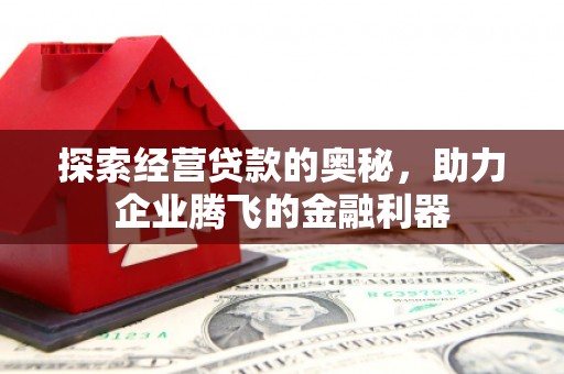连山探索经营贷款的奥秘，助力企业腾飞的金融利器