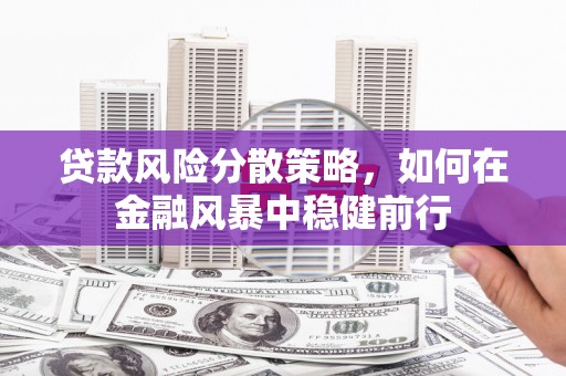 连山贷款风险分散策略，如何在金融风暴中稳健前行