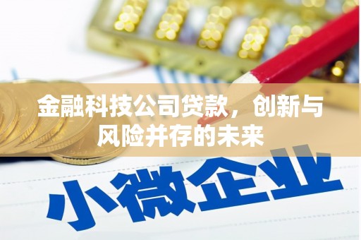 连山金融科技公司贷款，创新与风险并存的未来