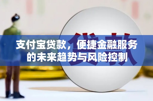 连山支付宝贷款，便捷金融服务的未来趋势与风险控制
