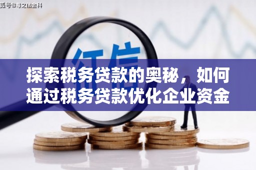 连山探索税务贷款的奥秘，如何通过税务贷款优化企业资金流