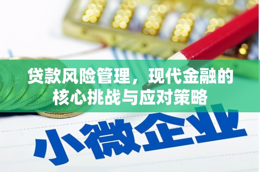 连山贷款风险管理，现代金融的核心挑战与应对策略