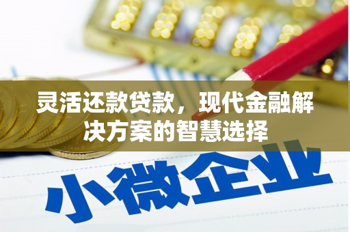 连山灵活还款贷款，现代金融解决方案的智慧选择