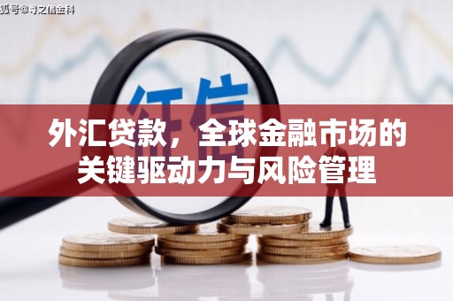 连山外汇贷款，全球金融市场的关键驱动力与风险管理