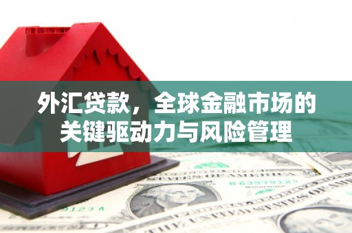 连山外汇贷款，全球金融市场的关键驱动力与风险管理
