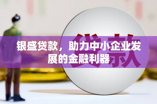 连山银盛贷款，助力中小企业发展的金融利器