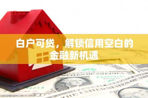 连山白户可贷，解锁信用空白的金融新机遇
