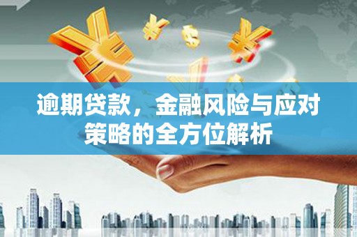 连山逾期贷款，金融风险与应对策略的全方位解析