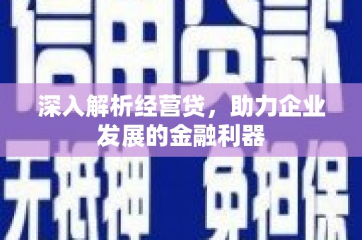 连山深入解析经营贷，助力企业发展的金融利器