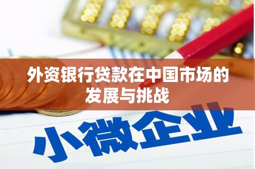 连山外资银行贷款在中国市场的发展与挑战
