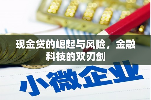 连山现金贷的崛起与风险，金融科技的双刃剑