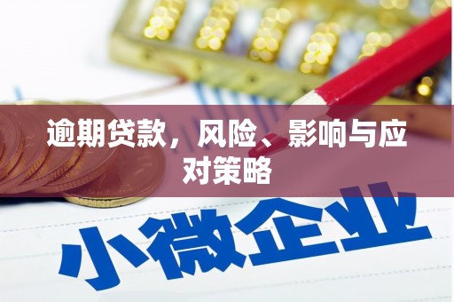 连山逾期贷款，风险、影响与应对策略