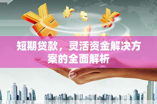 连山短期贷款，灵活资金解决方案的全面解析