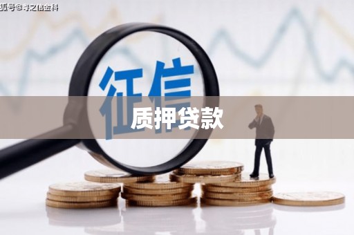 连山质押贷款