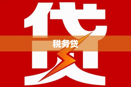 连山税务贷