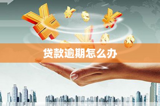 连山贷款逾期怎么办