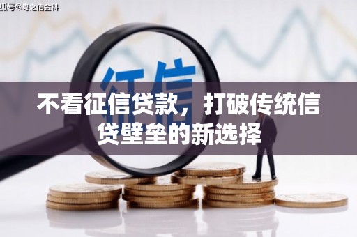 连山不看征信贷款，打破传统信贷壁垒的新选择
