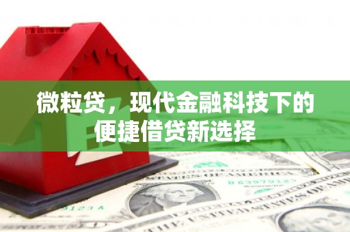 连山微粒贷，现代金融科技下的便捷借贷新选择