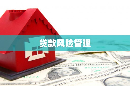 连山贷款风险管理