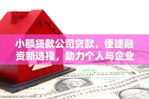 连山小额贷款公司贷款，便捷融资新选择，助力个人与企业成长