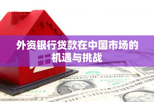 连山外资银行贷款在中国市场的机遇与挑战