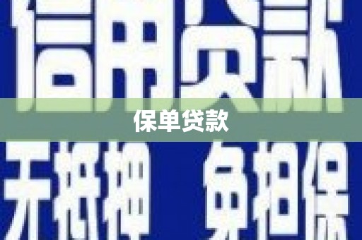 连山保单贷款