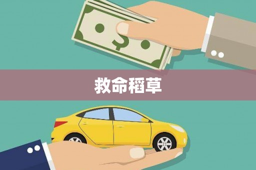 连山救命稻草