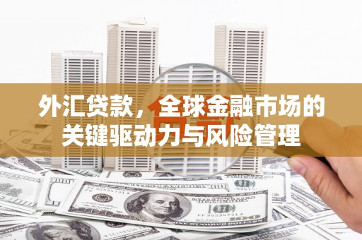 连山外汇贷款，全球金融市场的关键驱动力与风险管理