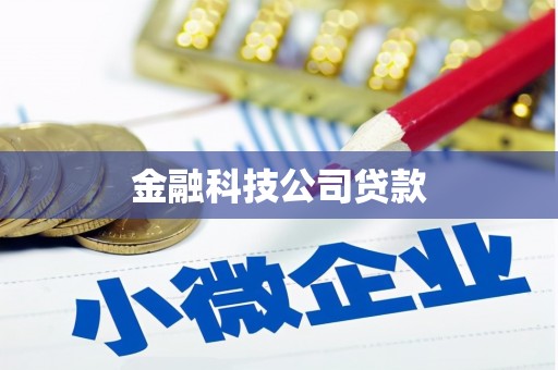 连山金融科技公司贷款