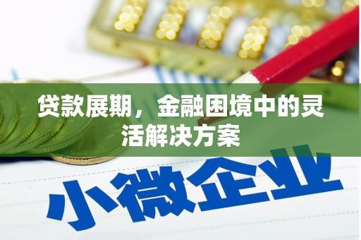 连山贷款展期，金融困境中的灵活解决方案
