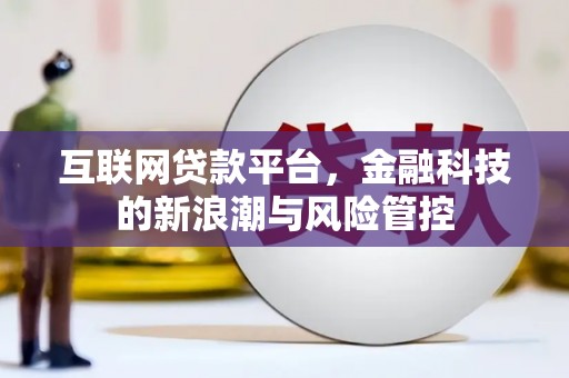 连山互联网贷款平台，金融科技的新浪潮与风险管控
