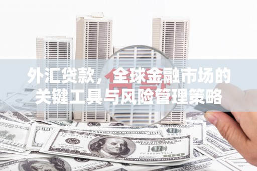 连山外汇贷款，全球金融市场的关键工具与风险管理策略