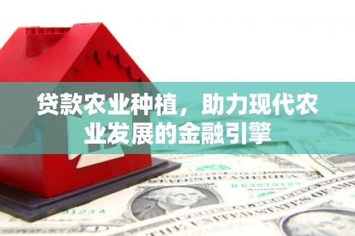 连山贷款农业种植，助力现代农业发展的金融引擎