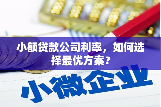 连山小额贷款公司利率，如何选择最优方案？