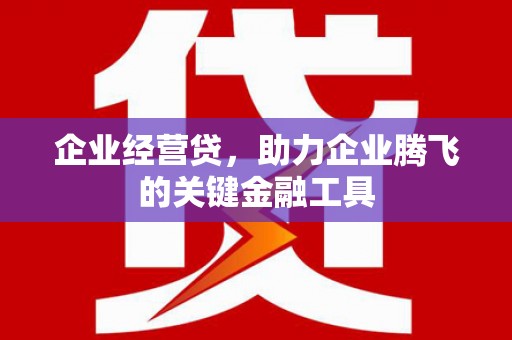 连山企业经营贷，助力企业腾飞的关键金融工具