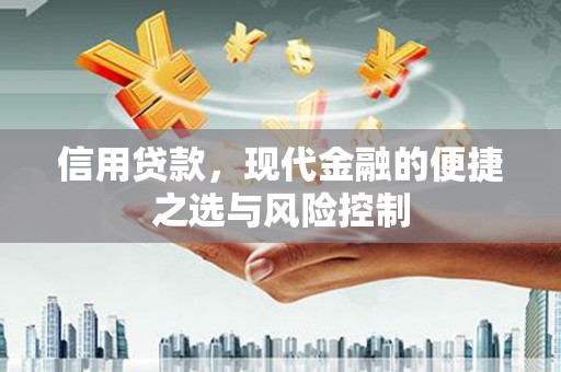 连山信用贷款，现代金融的便捷之选与风险控制