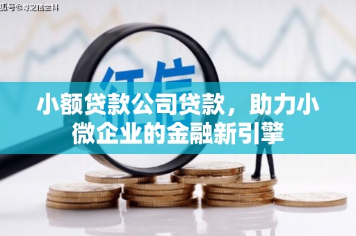 连山小额贷款公司贷款，助力小微企业的金融新引擎