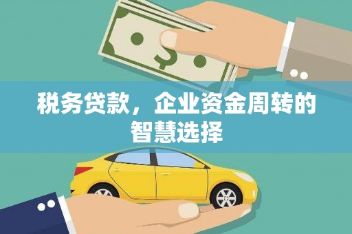 连山税务贷款，企业资金周转的智慧选择