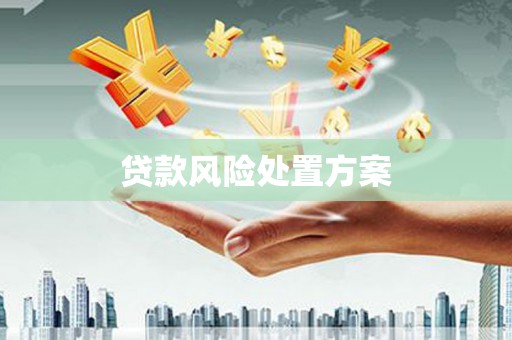 连山贷款风险处置方案