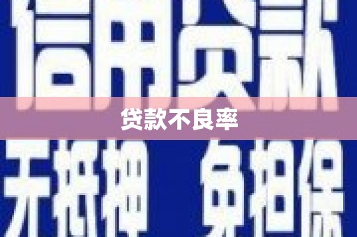 连山贷款不良率
