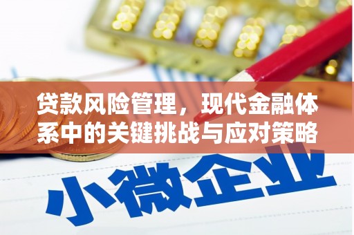 连山贷款风险管理，现代金融体系中的关键挑战与应对策略
