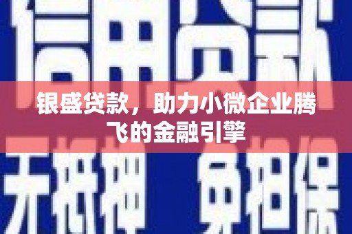连山银盛贷款，助力小微企业腾飞的金融引擎