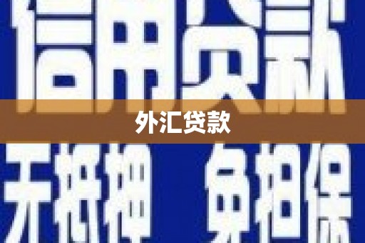 连山外汇贷款