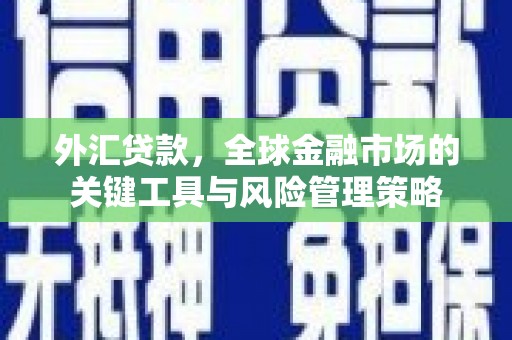 连山外汇贷款，全球金融市场的关键工具与风险管理策略