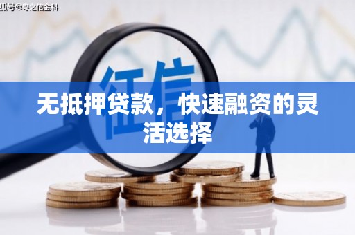连山无抵押贷款，快速融资的灵活选择