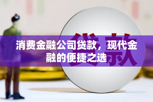 连山消费金融公司贷款，现代金融的便捷之选