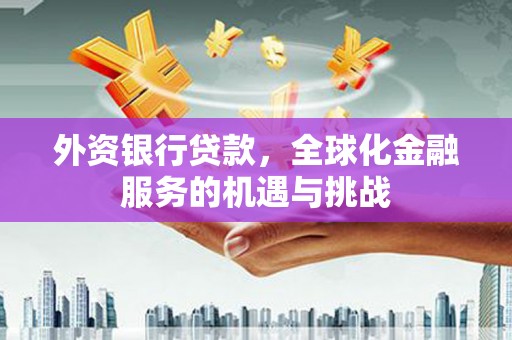 连山外资银行贷款，全球化金融服务的机遇与挑战