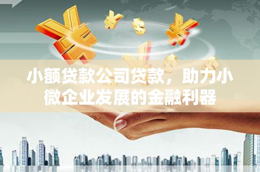 连山小额贷款公司贷款，助力小微企业发展的金融利器