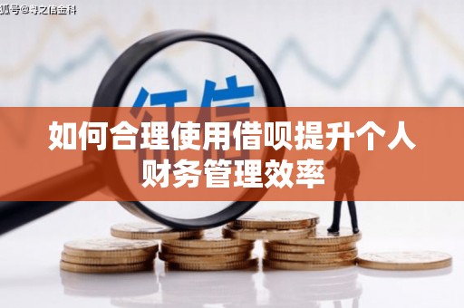 连山如何合理使用借呗提升个人财务管理效率