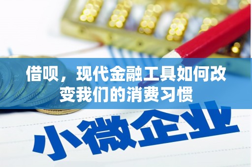 连山借呗，现代金融工具如何改变我们的消费习惯